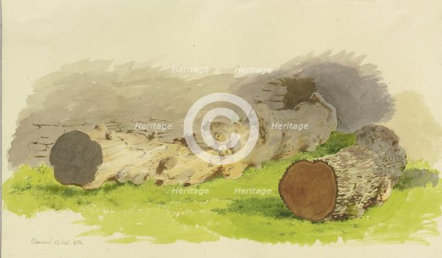 Sawed-off tree trunks in front of a wall in Oberwesel, 1858. Creator: Carl Theodor Reiffenstein.