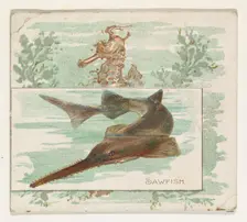 Sawfish, from Fish from American Waters series (N39) for Allen & Ginter Cigarettes, 1889. Creator: Allen & Ginter