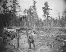 Sawing a log, 1916. Creator: Unknown
