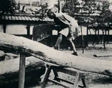 Sawing and planing are made with a pulling instead of a driving motion c1900, (1921). Artist: Julian Leonard Street