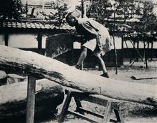 Sawing and planing are made with a pulling instead of a driving motion c1900, (1921). Artist: Julian Leonard Street