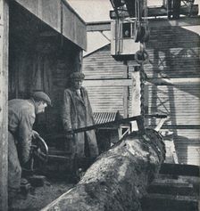 Sawing timber 1941. Artist: Cecil Beaton