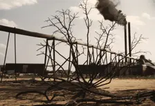 Sawmill at the Greensboro Lumber Co., Greensboro, Ga., 1941?. Creator: Jack Delano