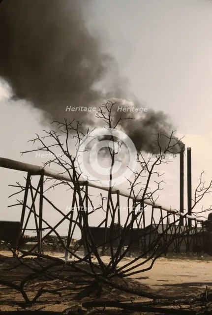 Sawmill at the Greensboro Lumber Co., Greensboro, Ga., 1941?. Creator: Jack Delano.