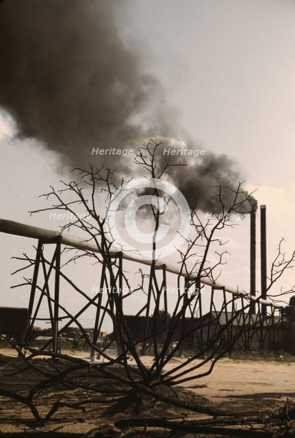 Sawmill at the Greensboro Lumber Co., Greensboro, Ga., 1941?. Creator: Jack Delano.