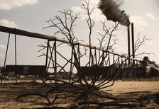 Sawmill at the Greensboro Lumber Co., Greensboro, Ga., 1941?. Creator: Jack Delano