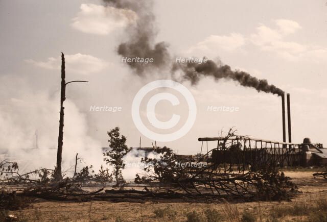 Sawmill at the Greensboro Lumber Co., Greensboro, Ga., 1941?. Creator: Jack Delano.