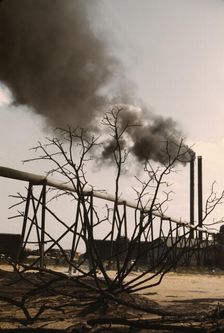 Sawmill at the Greensboro Lumber Co., Greensboro, Ga., 1941?. Creator: Jack Delano