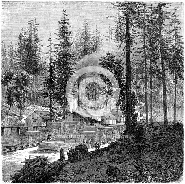 'Sawmill', California, 19th century.Artist: Theroud