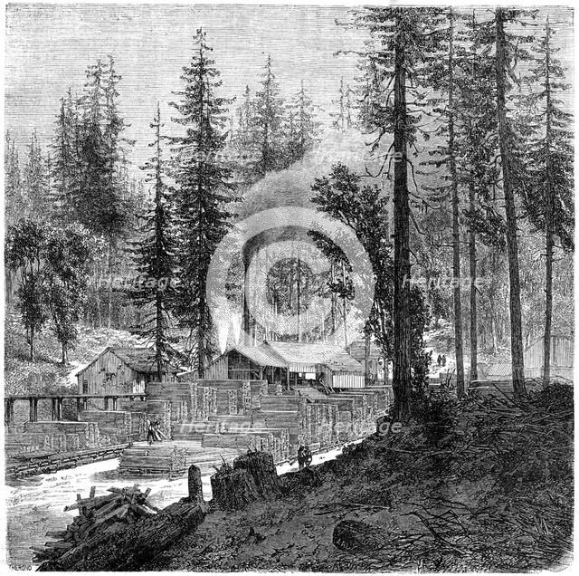 'Sawmill', California, 19th century.Artist: Theroud