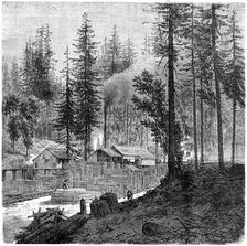 Sawmill California, 19th century.Artist: Theroud