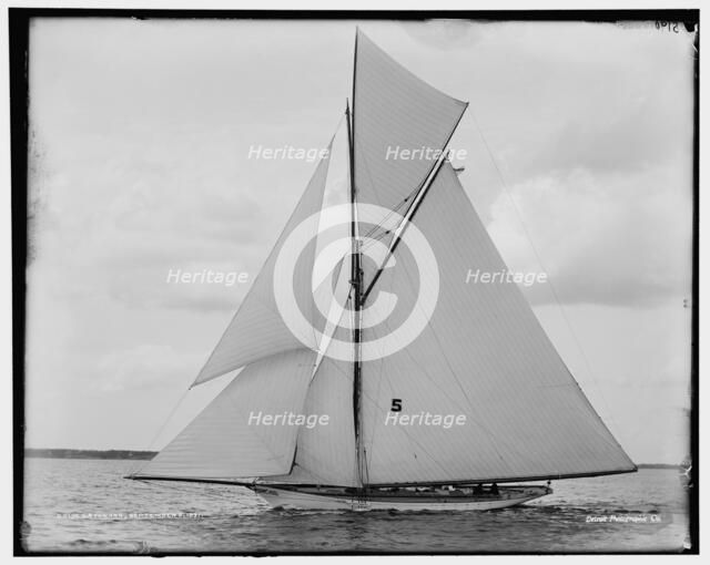 Sayonara, 1891 Sept 8. Creator: Unknown.