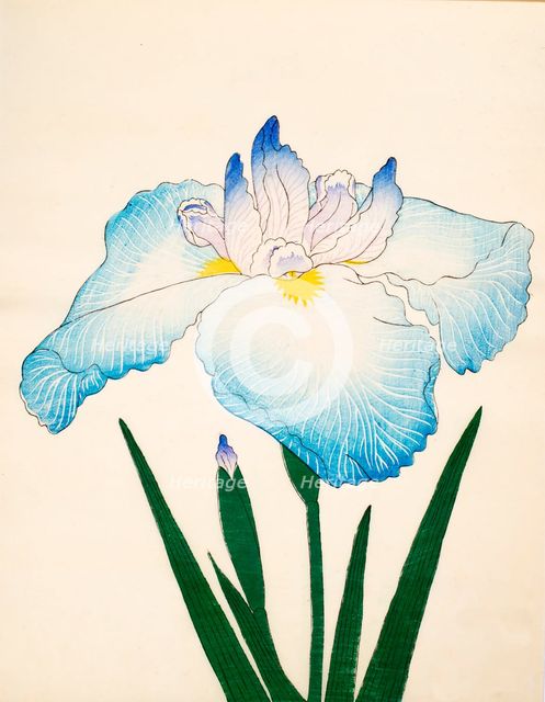 Sazanami, No. 68, 1890, (colour woodblock print)