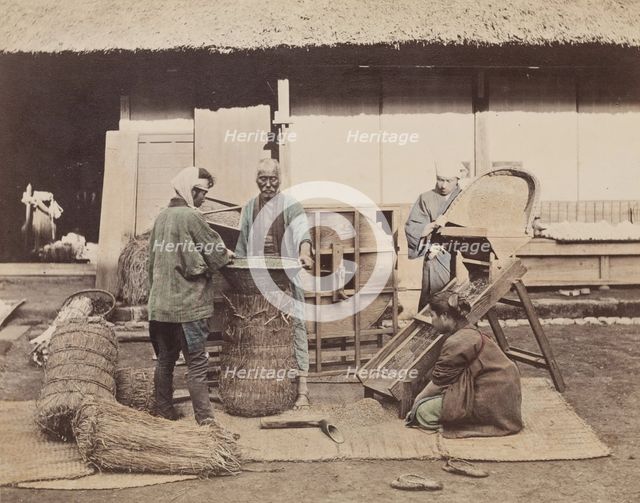 Sacking Grain, c1885. Creator: Unknown.