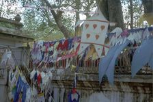 Sacred bo-tree at Anuradhapura in Sri Lanka