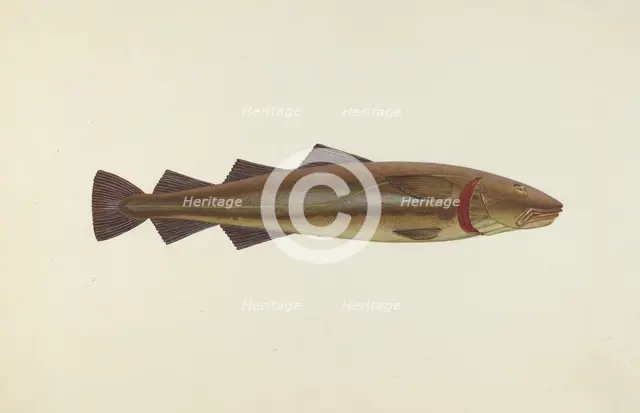 Sacred Cod, 1940. Creator: John W Kelleher.