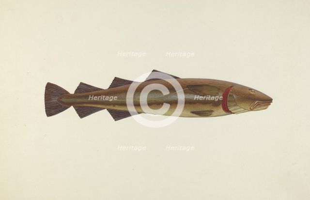 Sacred Cod, 1940. Creator: John W Kelleher.