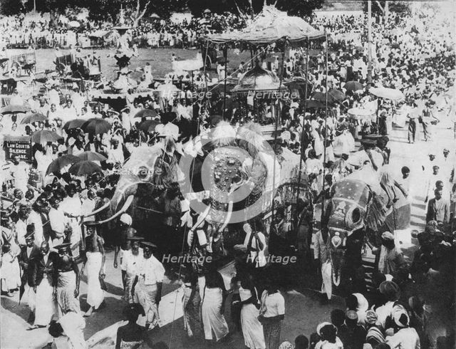 'Sacred Elephant in the Perahera Procession, Kandy, Ceylon', c1890, (1910). Artist: Alfred William Amandus Plate.