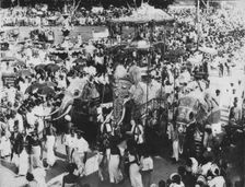 Sacred Elephant in the Perahera Procession, Kandy, Ceylon c1890, (1910). Artist: Alfred William Amandus Plate