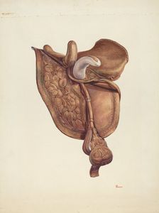 Saddle, c. 1941. Creator: Hal Blakeley