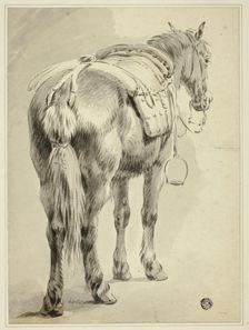 Saddle Horse, n.d. Creator: Pieter van Bloemen