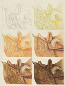 Saddle (Technique Demonstration), 1935/1942. Creator: Gerald Transpota