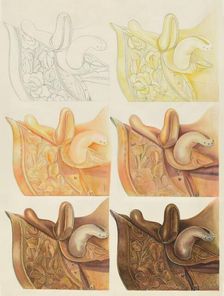 Saddle (Technique Demonstration), 1935/1942. Creator: Gerald Transpota