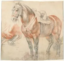 Saddled Horse, c. 1616-1618. Artist: Rubens, Pieter Paul (1577-1640)