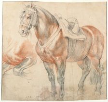 Saddled Horse, c. 1616-1618. Artist: Rubens, Pieter Paul (1577-1640)