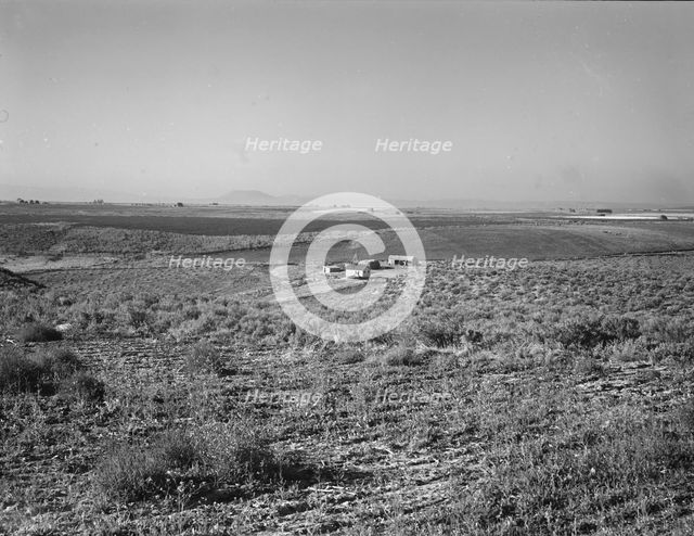 Sage bush, hay field, farmstead, cattle in pasture, Nyssa Heights, Malheur County, Oregon, 1939. Creator: Dorothea Lange.