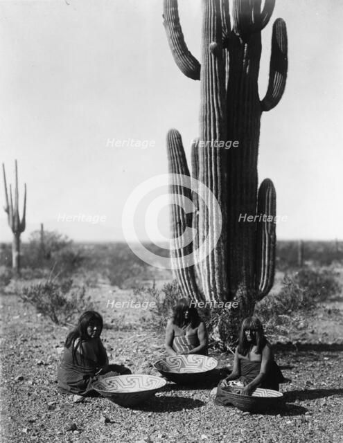 Saguaro gatherers, c1907. Creator: Edward Sheriff Curtis.