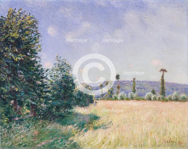 Sahurs Meadows in Morning Sun, 1894. Creator: Alfred Sisley.