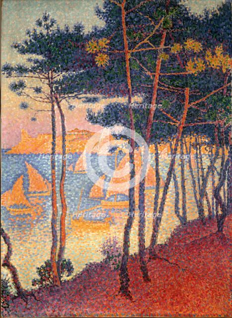 Sails and pines. Artist: Signac, Paul (1863-1935)
