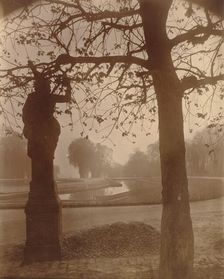 Saint-Cloud, 1926. Creator: Eugene Atget