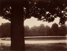 Saint-Cloud, 1926. Creator: Eugene Atget
