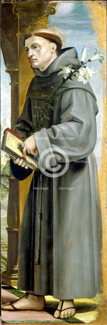 Saint Anthony of Padua. Artist: Zenale, Bernardo (1464-1526)