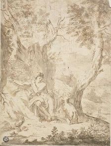 Saint John the Baptist in the Wilderness, n.d. Creator: Unknown