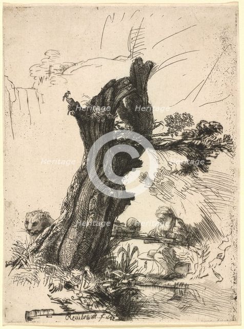 Saint Jerome beside a Pollard Willow, 1648. Creator: Rembrandt Harmensz van Rijn.