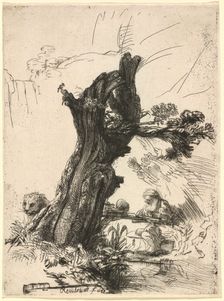 Saint Jerome beside a Pollard Willow, 1648. Creator: Rembrandt Harmensz van Rijn