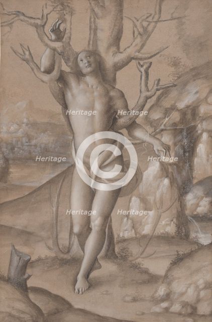 Saint Sebastian, ca. 1524. Creator: Gerolamo Giovenone.