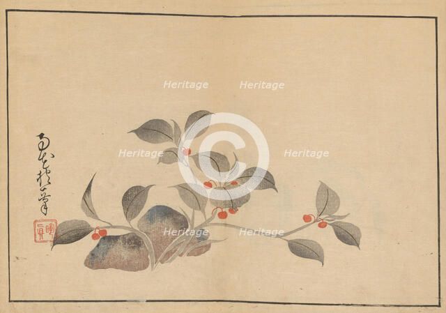 Sakai Hoitsu gajo (Sakai Hoitsu painting album). Creator: Hoitsu, Sakai (1761-1828).