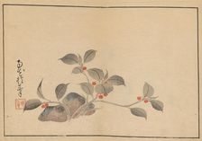Sakai Hoitsu gajo (Sakai Hoitsu painting album). Creator: Hoitsu, Sakai (1761-1828)