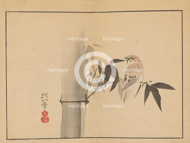 Sakai Hoitsu gajo (Sakai Hoitsu painting album). Creator: Hoitsu, Sakai (1761-1828).