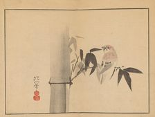 Sakai Hoitsu gajo (Sakai Hoitsu painting album). Creator: Hoitsu, Sakai (1761-1828)