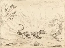 Salamander Surrounded by Flames. Creator: Jacques Callot
