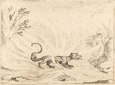 Salamander Surrounded by Flames. Creator: Jacques Callot