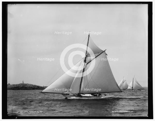 Saladin, 1890 Aug 18. Creator: Unknown.
