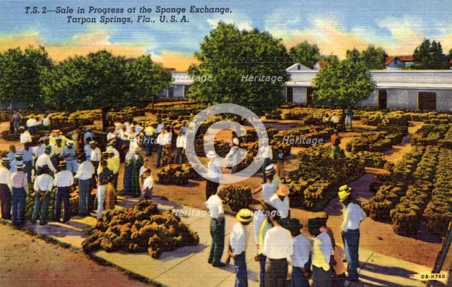 Sale in progress at the sponge exchange, Tarpon Springs, Florida, USA, 1940. Artist: Unknown