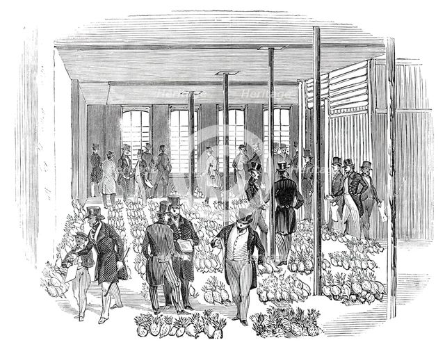 Sale of West India Pine Apples, 1844. Creator: Unknown.