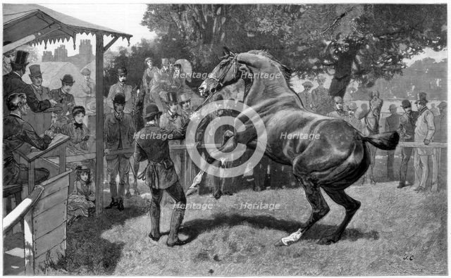 Sale of Hunters Raising and objection, 1885. Artist: Unknown